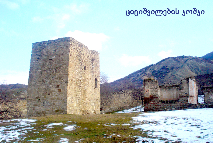 ნიჩბისი KARIBCHE