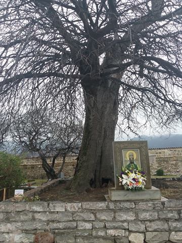 წმინდა ნინოს დღესასწაულთან დაკავშირებით სამთავროს წმინდა ნინოს დედათა მონასტერში სადღესასწაულო ღვთისმსახურენა აღავლინა სენაკისა და ჩხოროწყუს მიტროპოლიტმა, კათოლიკოს პატრიარქის თანამოსაყდრემ - მეუფე შიომ KARIBCHE