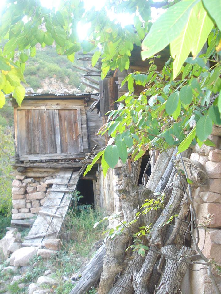 წელს, ღამისთევის ლოცვით შეხვდებიან წმინდა მამის გრიგოლ ხანძთელის ხსენებას და კიდევ ერთხელ შეავედრებენ მის წმინდა სულს ჩვენი ქვეყნის კეთილდღეობას KARIBCHE