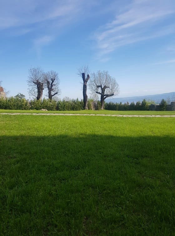 20 მაისს წმინდა იოანე ზედაზნელის ხსენებაა. შეგვეწიოს მისი მადლი! KARIBCHE