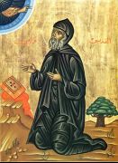 ღირსი მარონი, სირიელი მეუდაბნოე