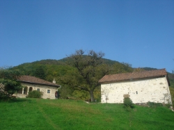 სხვიტორი