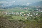 წავკისი