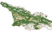 ვისი გორისა ხარ?
