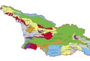 ვისი გორისა ხარ?