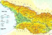 ვისი გორისა ხარ?